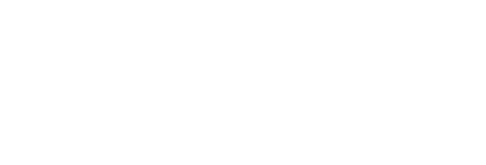 dbs website logo white